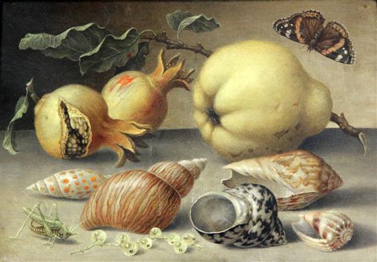 Manner of Balthasar van der Ast (1593-1657) Still life of fruit, shells and a grasshopper 4.75 x 6.75in.